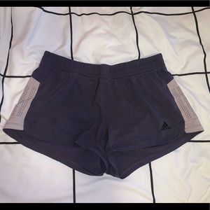 purple adidas workout shorts